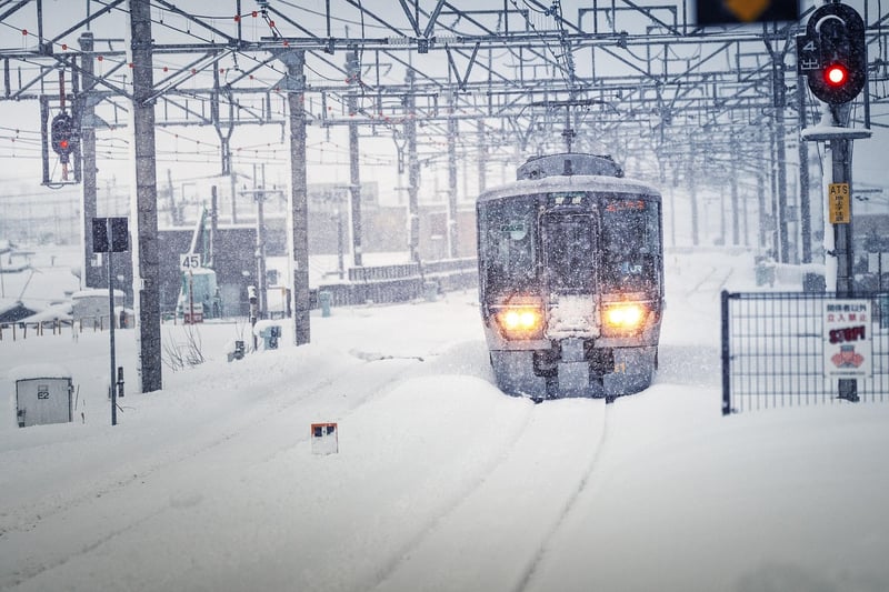 Arctic Adventure
